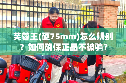 芙蓉王(硬75mm)怎么辨别？如何确保正品不被骗？